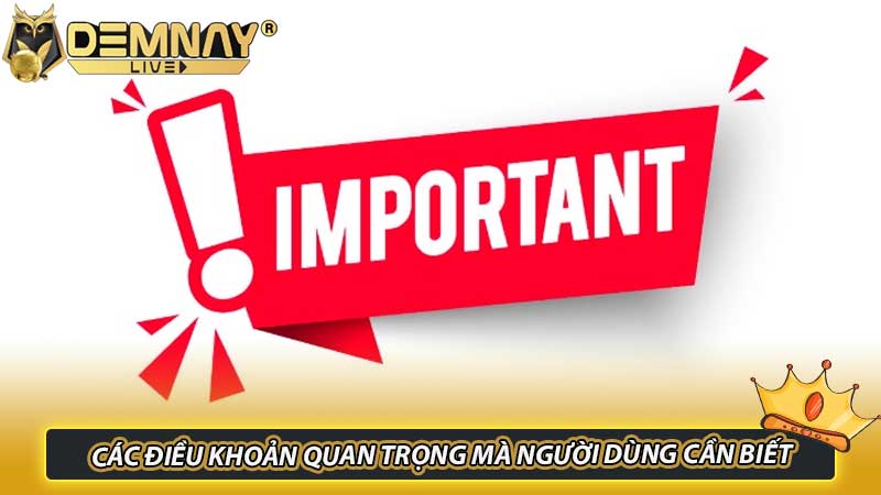 Các điều khoản quan trọng mà người dùng cần biết