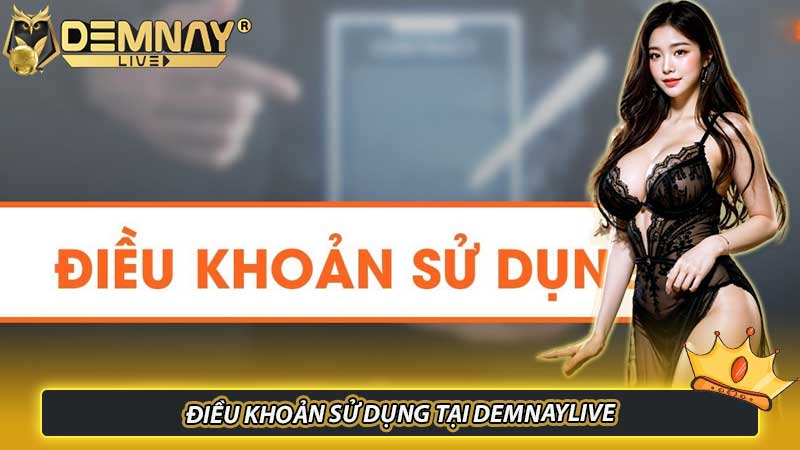 Điều khoản sử dụng tại Demnaylive